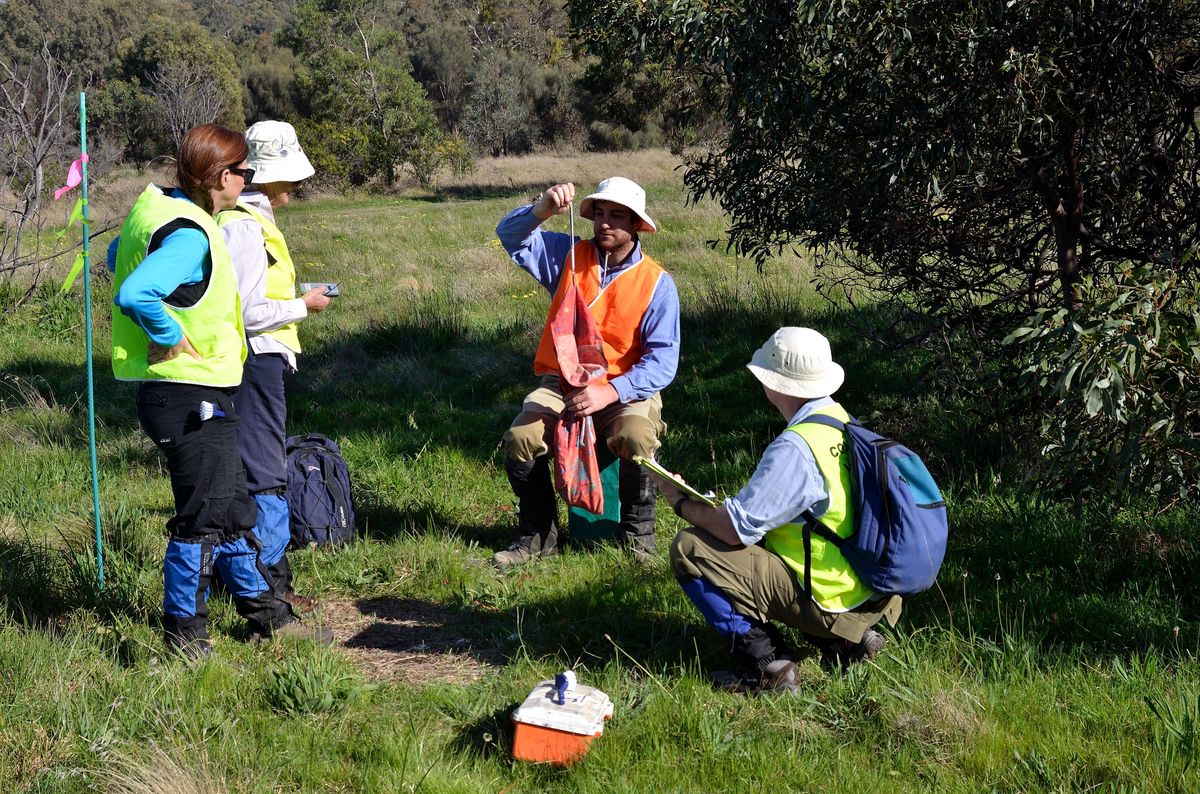 Our volunteers in action